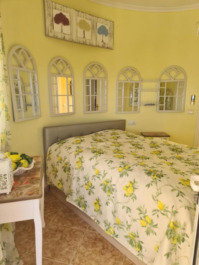 バレンシア Chateau Angeliqueゲストハウス エクステリア 写真