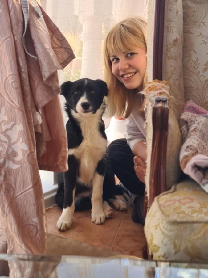 バレンシア Chateau Angeliqueゲストハウス エクステリア 写真